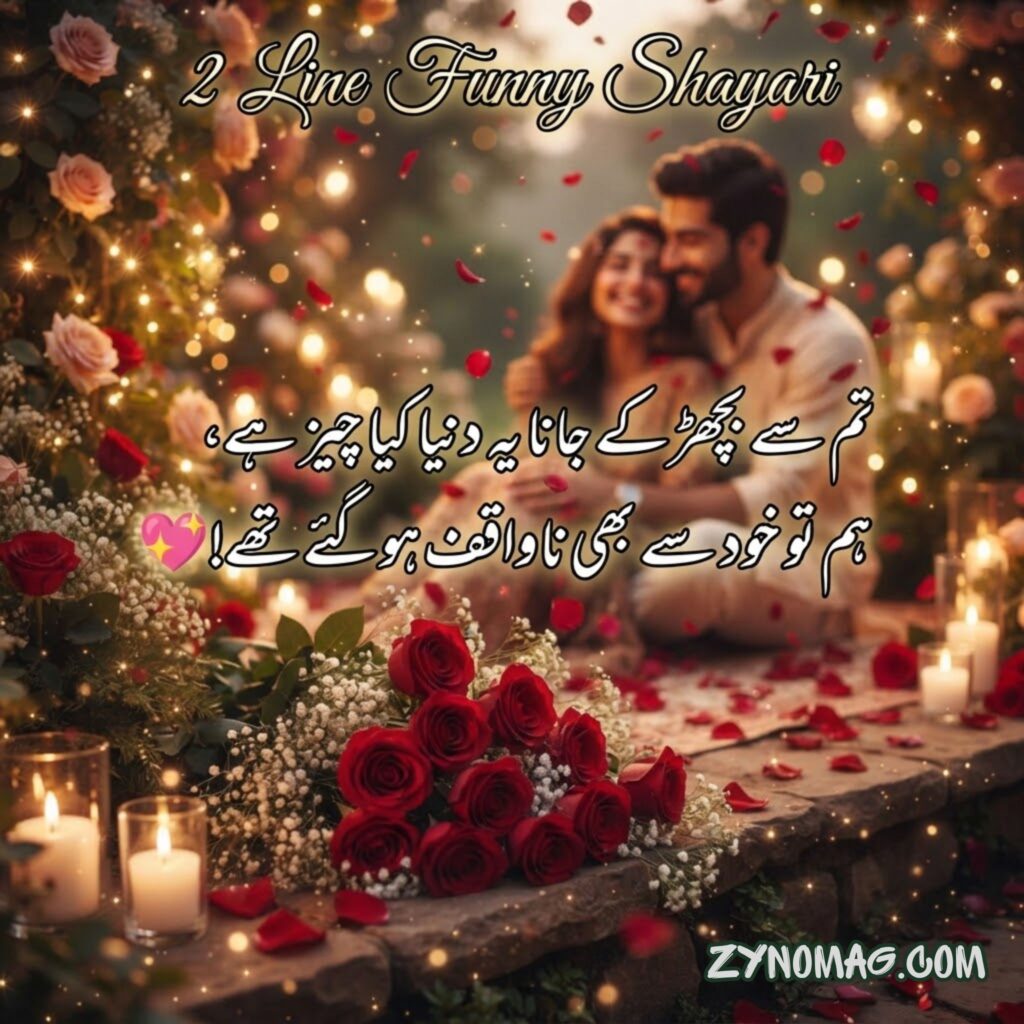 2 Line Funny Shayari