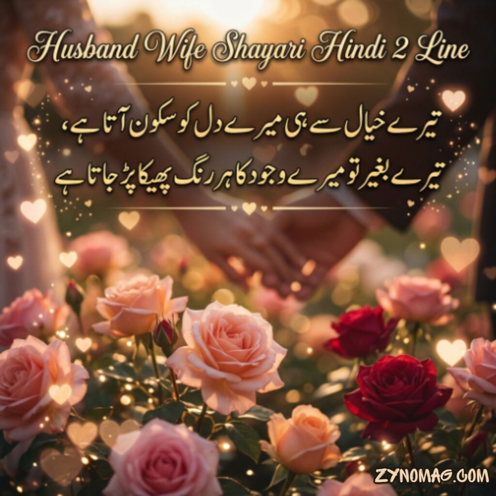 Husband Wife Shayari Hindi 2 Line