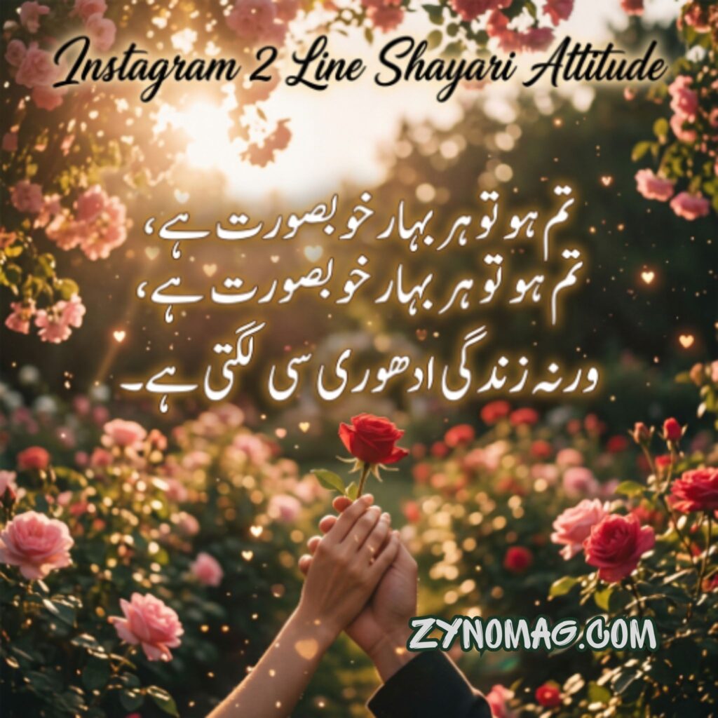 Instagram 2 Line Shayari Attitude