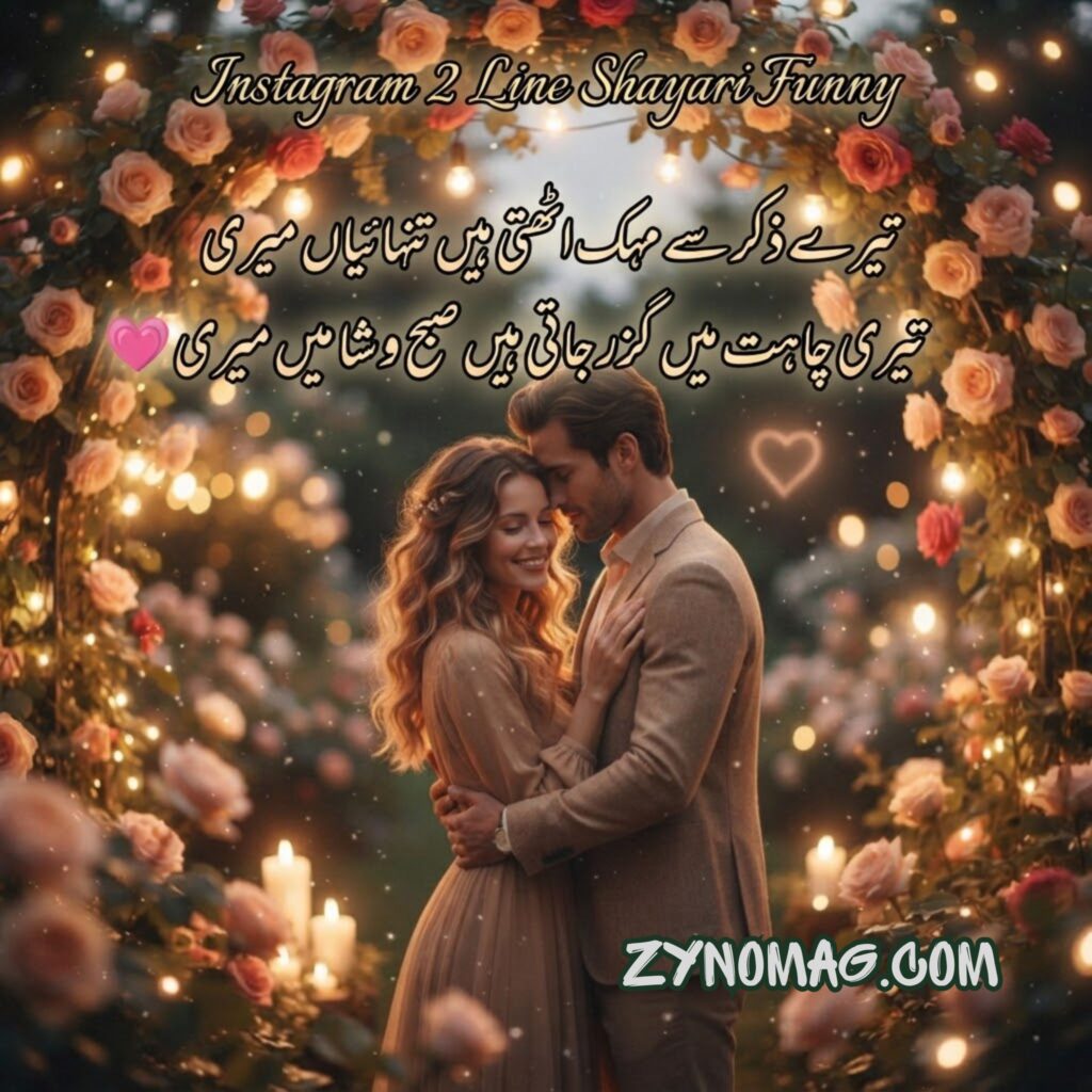 Instagram 2 Line Shayari Funny