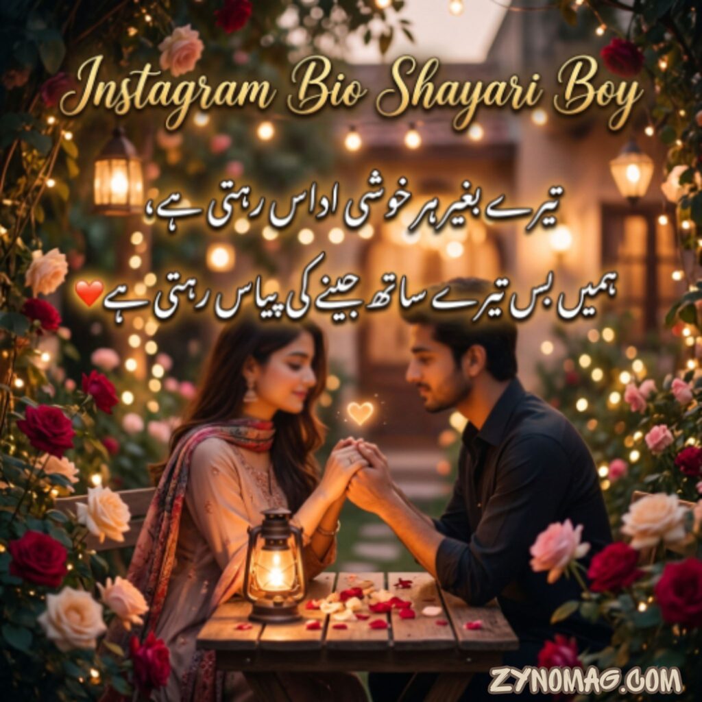 Instagram Bio Shayari Boy