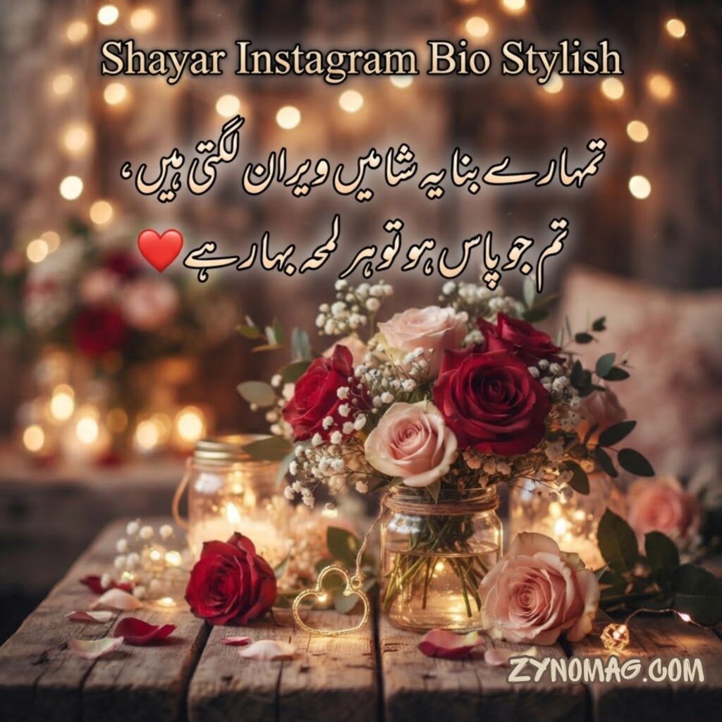 Shayar Instagram Bio Stylish