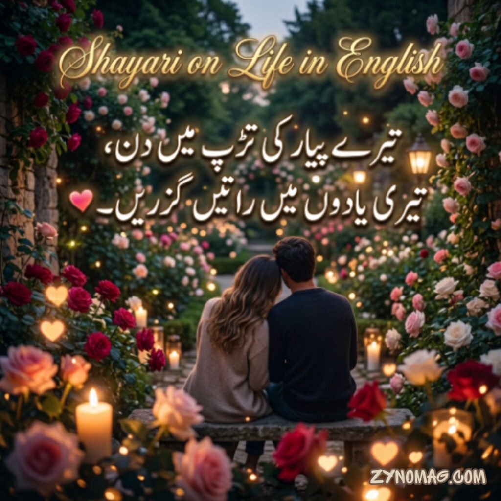 Shayari on Life in English