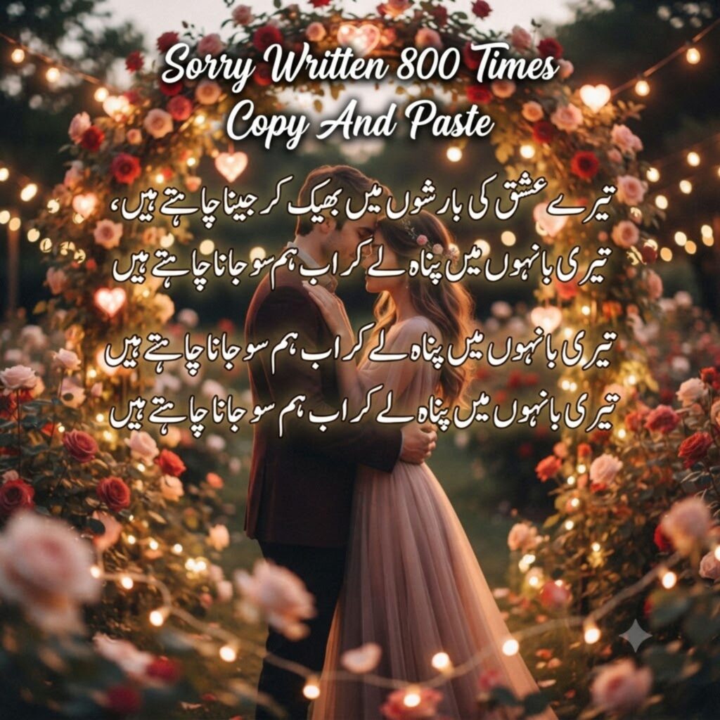 Sorry Written 800 Times Copy And Paste