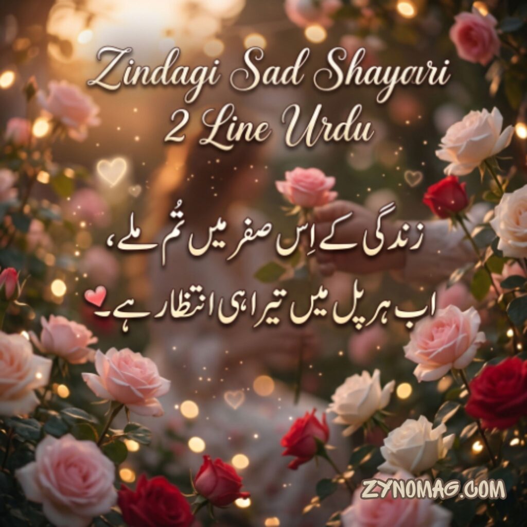Zindagi Sad Shayari 2 Line Urdu