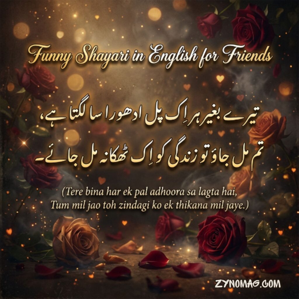 Funny Shayari in English for Friends