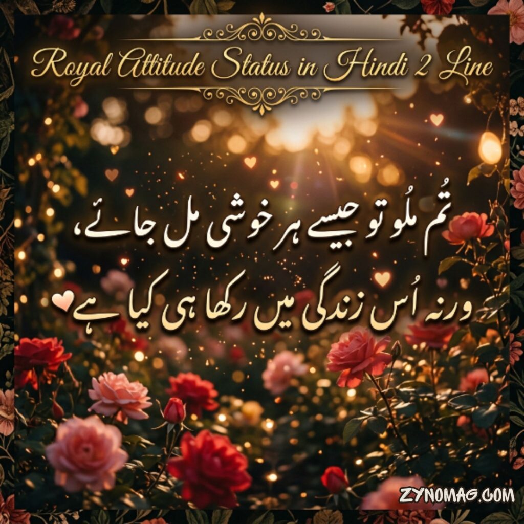 Royal Attitude Status in Hindi 2 Line