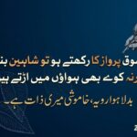 Attitude Shayari in Urdu